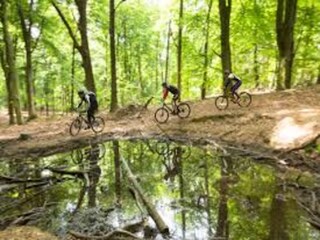 Vakantiehuis Heusden Omgeving 38