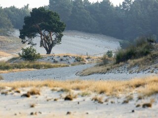 Casa per le vacanze Heusden Ambiente 37
