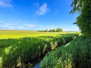 Apartamento Leeuwarden Entorno 23