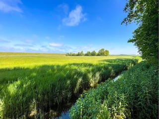 Appartamento Leeuwarden Ambiente 23