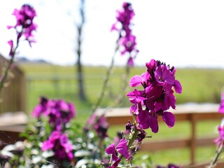 Casa per le vacanze Leeuwarden  36