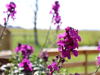 Ferienhaus Leeuwarden  35