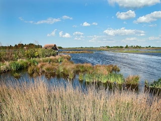 Chalet Leeuwarden Umgebung 28