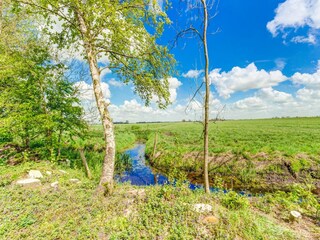 Chalet Leeuwarden Umgebung 32