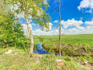 Chalet Leeuwarden Omgeving 33