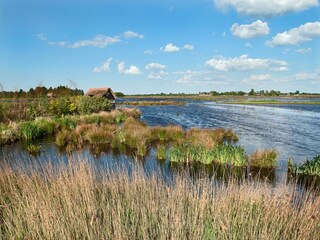 Chalet Leeuwarden Omgeving 31