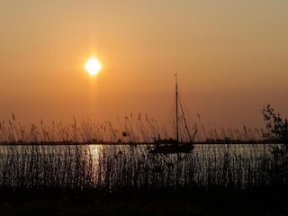 Chalet Leeuwarden Environment 33