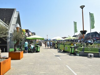 Vakantiehuis 't Zand Omgeving 35