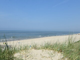 Maison de vacances 't Zand Environnement 35