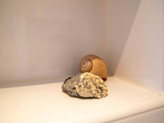 Casa per le vacanze Medemblik  28