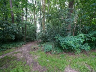 Casa de vacaciones Kerkrade Entorno 27