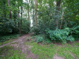 Holiday house Kerkrade Environment 28