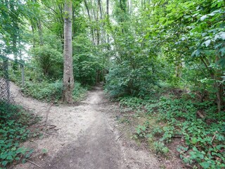 Casa per le vacanze Kerkrade Ambiente 38