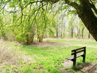 Vakantiehuis Hollandscheveld Omgeving 35