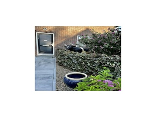 Ferienhaus Hollandscheveld Außenaufnahme 2