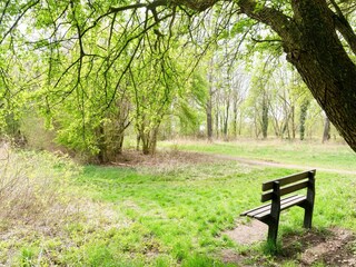 Vakantiehuis Hollandscheveld Omgeving 35