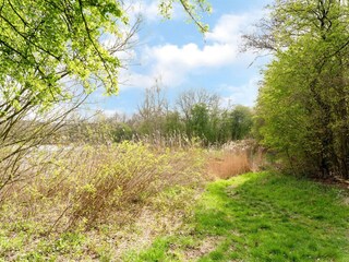 Vakantiehuis Hollandscheveld Omgeving 33