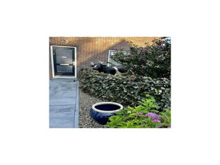 Maison de vacances Hollandscheveld Enregistrement extérieur 4