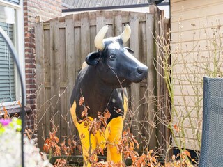 Vakantiehuis Hollandscheveld  42