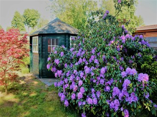 Vakantiehuis Uddel Buitenaudio-opname 13