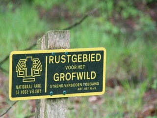 Vakantiehuis Uddel Omgeving 31
