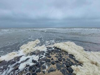 Casa per le vacanze 't Zand Ambiente 35