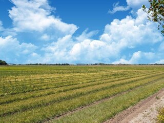 Casa per le vacanze 't Zand Ambiente 34
