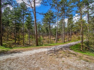 Vakantiehuis Schoorl Omgeving 29