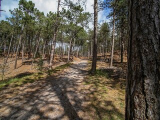 Vakantiehuis Schoorl Omgeving 30