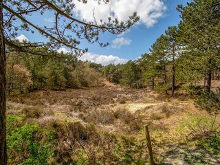 Vakantiehuis Schoorl Omgeving 38