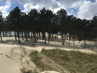Vakantiehuis Schoorl Omgeving 42