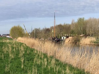 Vakantiehuis Ooltgensplaat Omgeving 36