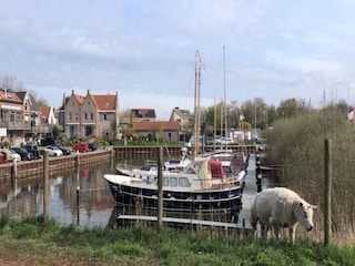 Ferienhaus Ooltgensplaat Umgebung 28