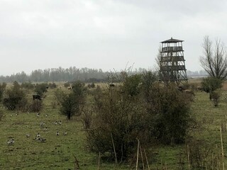 Vakantiehuis Ooltgensplaat Omgeving 33