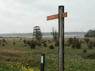 Vakantiehuis Ooltgensplaat Omgeving 34