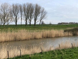 Vakantiehuis Ooltgensplaat Omgeving 36