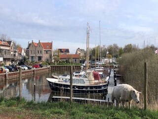 Vakantiehuis Ooltgensplaat Omgeving 38