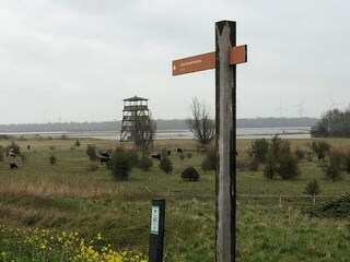 Holiday house Ooltgensplaat Environment 33