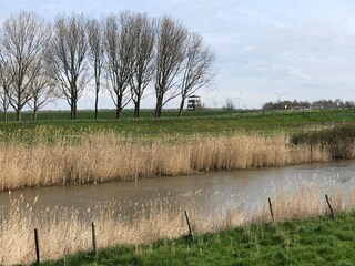 Casa per le vacanze Ooltgensplaat Ambiente 31