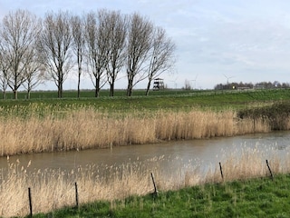 Holiday house Ooltgensplaat Environment 34