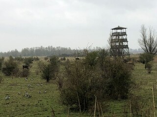 Vakantiehuis Ooltgensplaat Omgeving 34