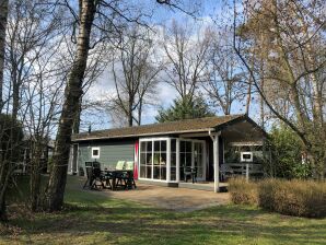 Ferienhaus Chalet en Voorthuizen con piscina cubierta