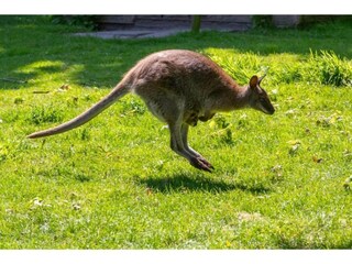 Apartment Oostkapelle Environment 23