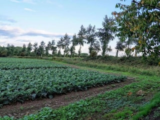 Apartment Oostkapelle Environment 14