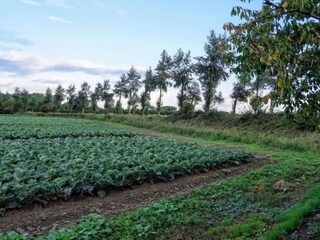 Appartamento Oostkapelle Ambiente 21