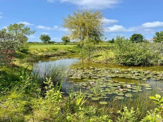 Apartamento Oostkapelle Entorno 33