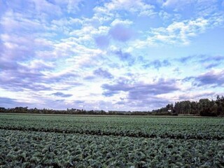 Casa de vacaciones Oostkapelle Entorno 34