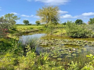 Casa per le vacanze Oostkapelle Ambiente 24