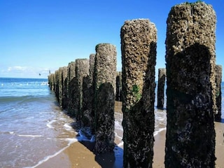 Maison de vacances Oostkapelle Environnement 12