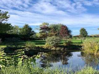 Vakantiehuis Oostkapelle Omgeving 27